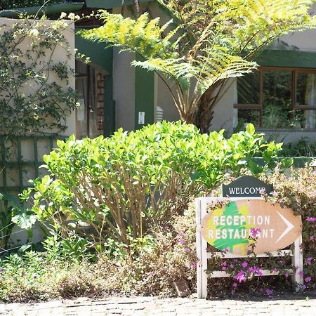 Andelomi Forest Lodge Stormsrivier Eksteriør bilde