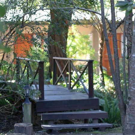 Andelomi Forest Lodge Stormsrivier Eksteriør bilde