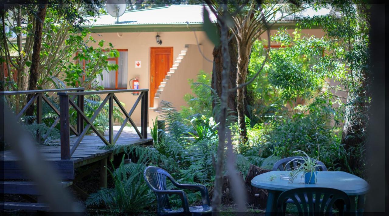 Andelomi Forest Lodge Stormsrivier Eksteriør bilde
