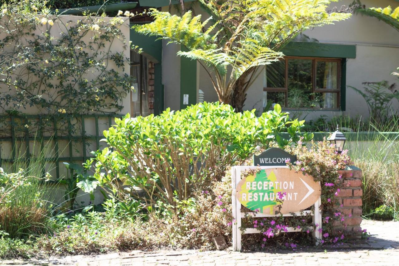 Andelomi Forest Lodge Stormsrivier Eksteriør bilde