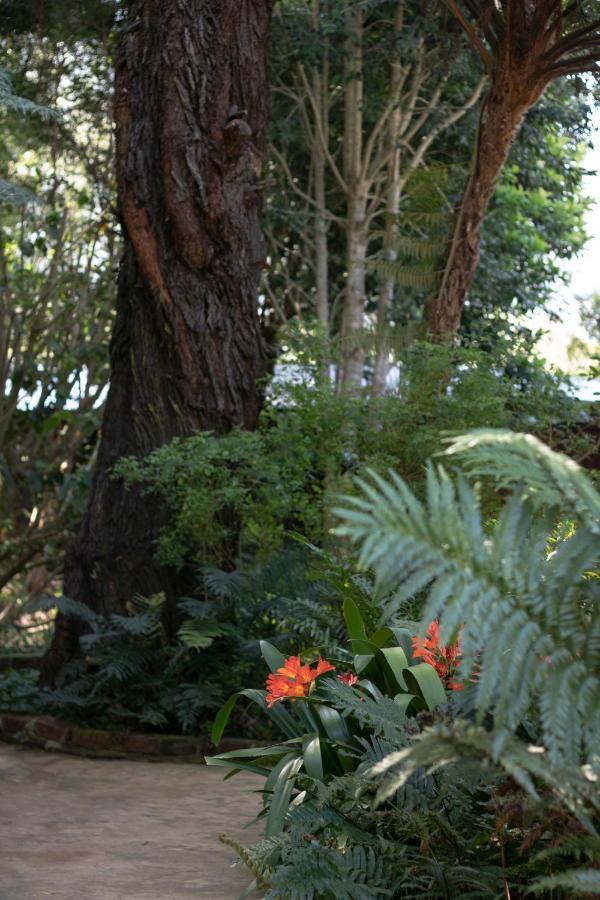Andelomi Forest Lodge Stormsrivier Eksteriør bilde
