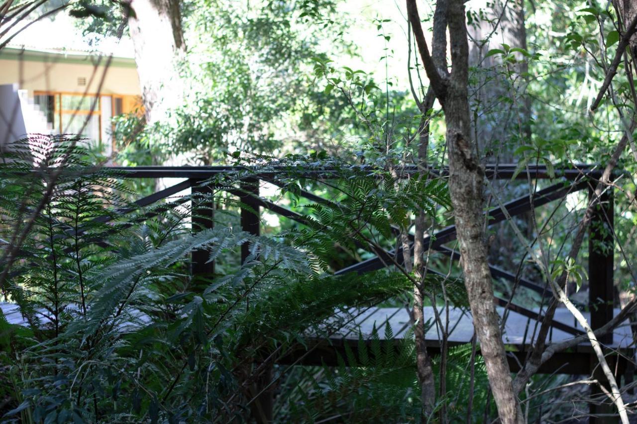 Andelomi Forest Lodge Stormsrivier Eksteriør bilde