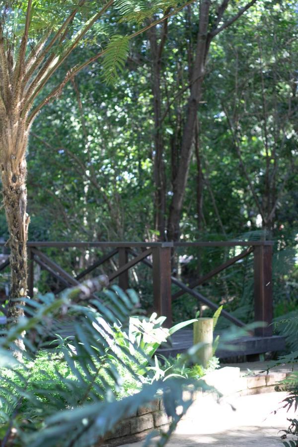 Andelomi Forest Lodge Stormsrivier Eksteriør bilde