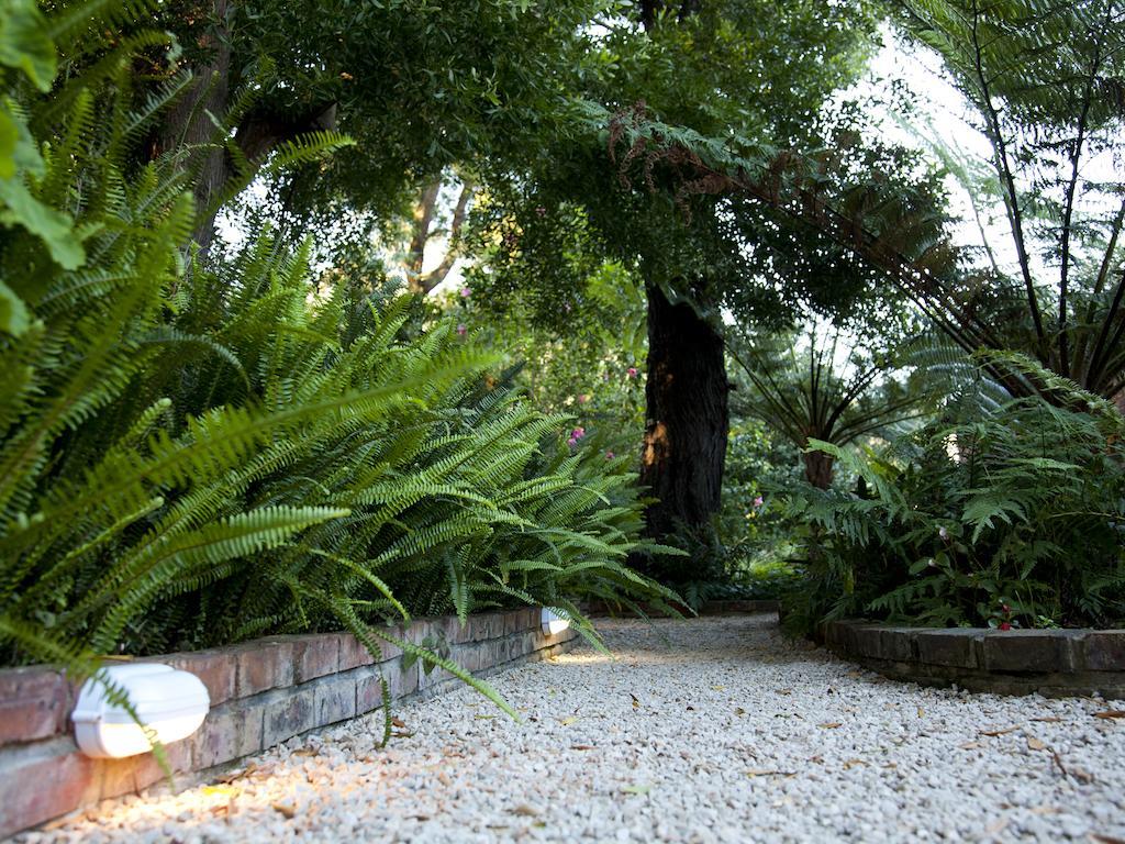 Andelomi Forest Lodge Stormsrivier Eksteriør bilde