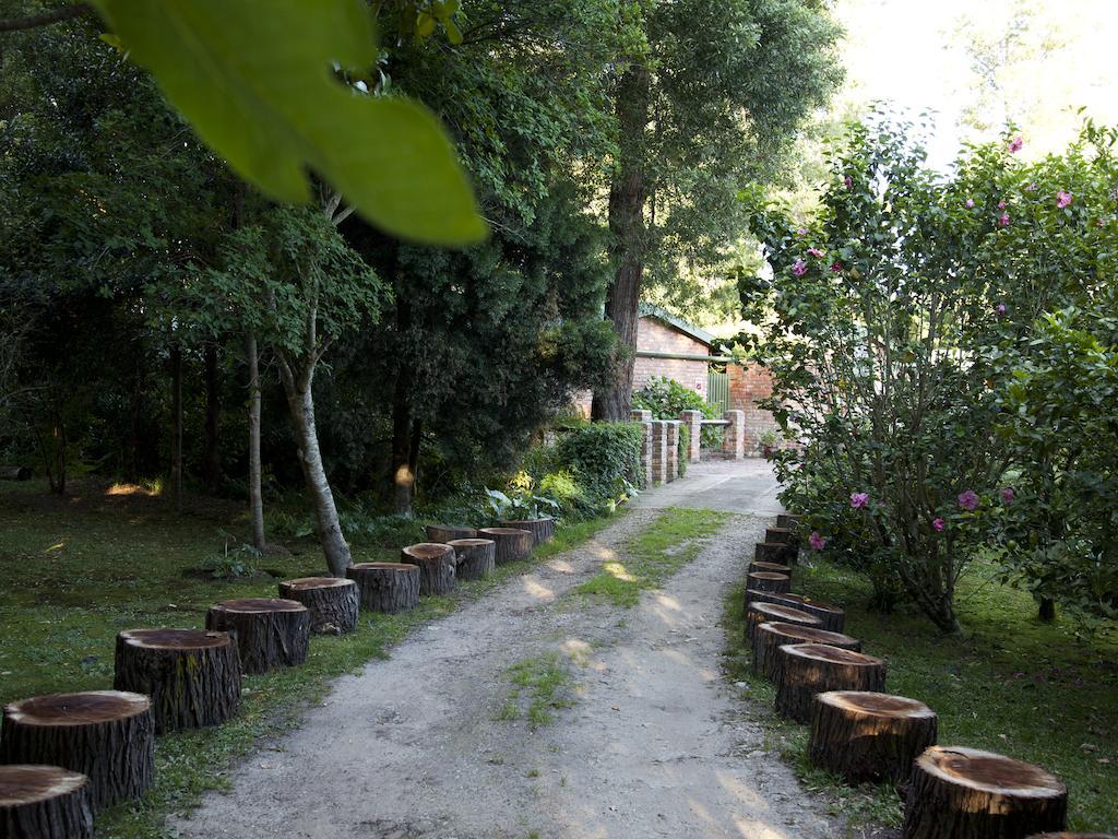 Andelomi Forest Lodge Stormsrivier Eksteriør bilde
