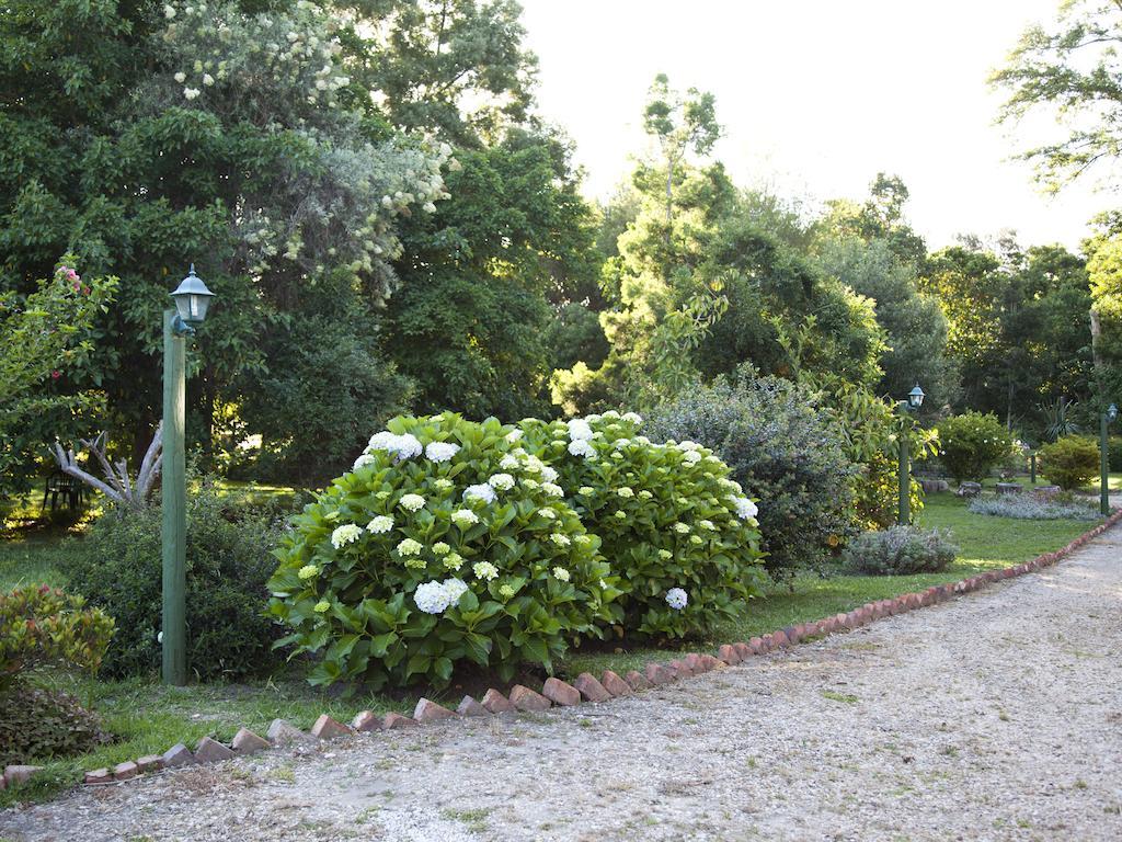 Andelomi Forest Lodge Stormsrivier Eksteriør bilde