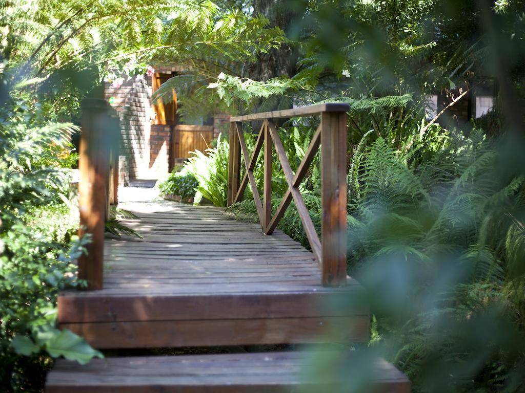 Andelomi Forest Lodge Stormsrivier Eksteriør bilde