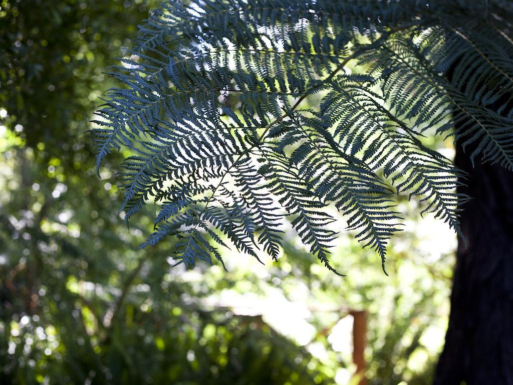 Andelomi Forest Lodge Stormsrivier Eksteriør bilde