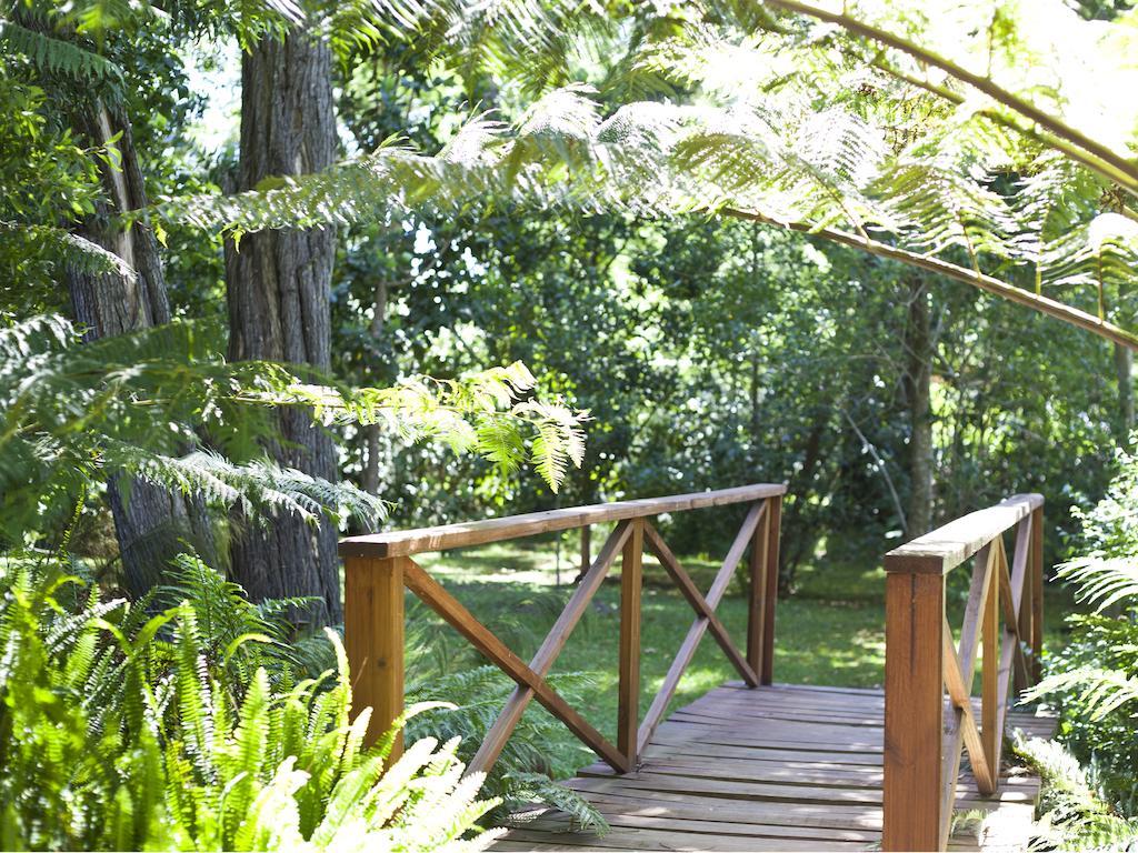 Andelomi Forest Lodge Stormsrivier Eksteriør bilde