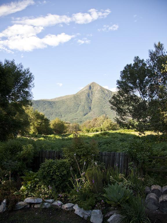 Andelomi Forest Lodge Stormsrivier Eksteriør bilde